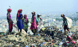 Furnish audit reports on MCDs solid waste management: Atishi