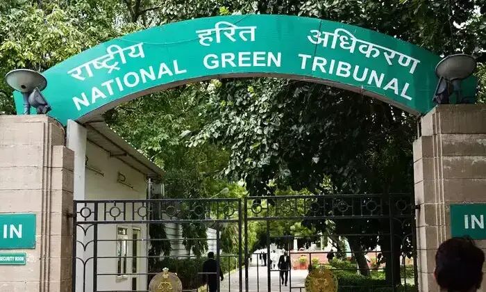 NGT needs to broaden proceedings against illegal sand-mining across Meghalaya: HC NGT needs to broaden proceedings against illegal sand-mining across Meghalaya: HC