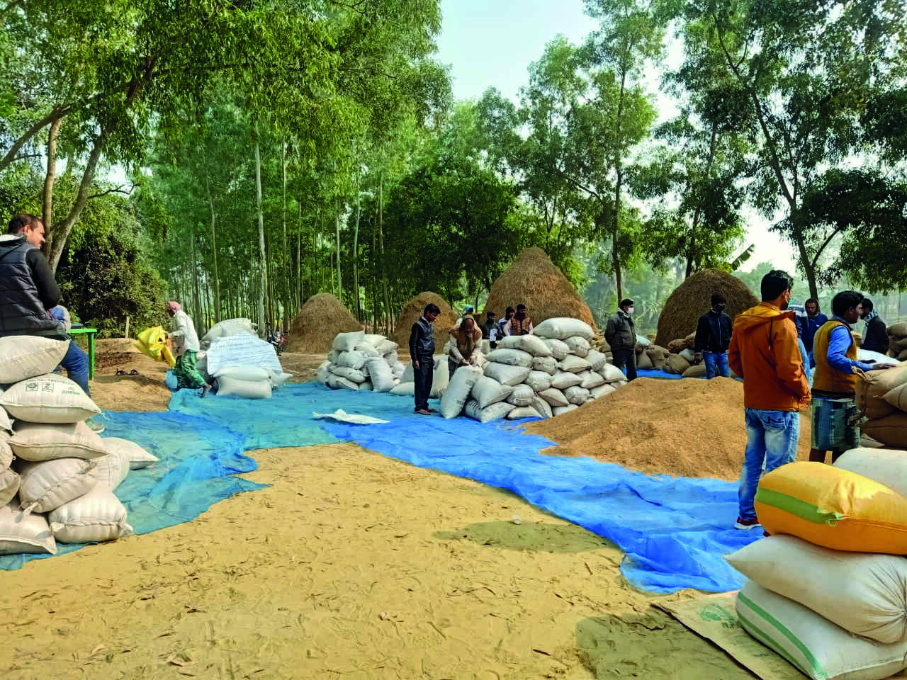 State to buy 90K MT of rice from open market as Centre revises allocation State to buy 90K MT of rice from open market as Centre revises allocation
