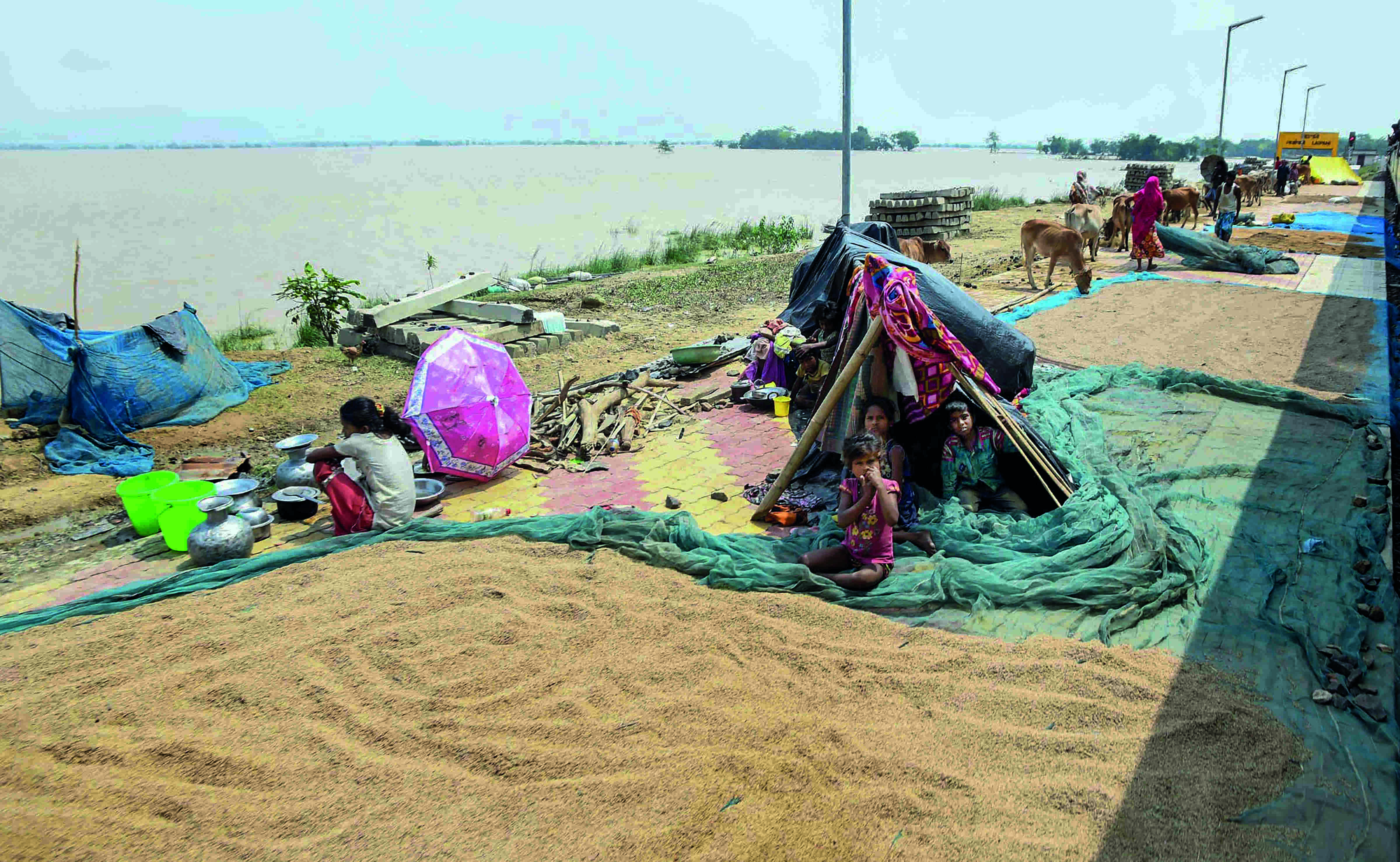 Assam: Flood situation grim as 2 more people die, 5.61 lakh suffer