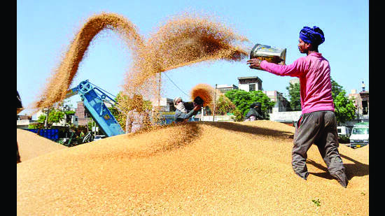 Ban imposed to check rampant export of wheat Ban imposed to check rampant export of wheat