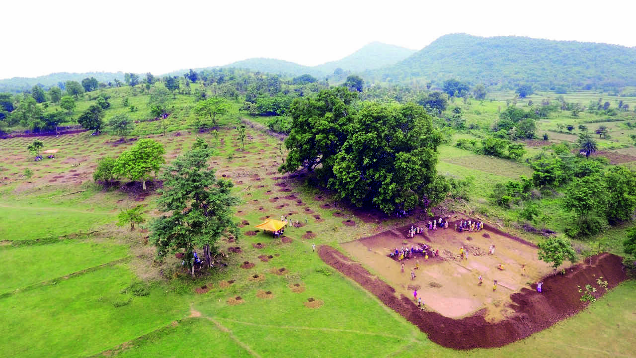 Matir Sristi scheme benefits over 35K farmers in 6 districts Matir Sristi scheme benefits over 35K farmers in 6 districts