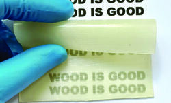 Wonderful wood Wonderful wood