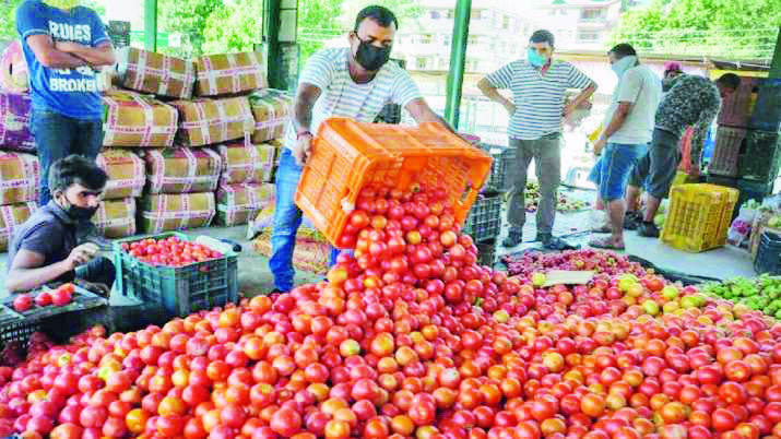 Retail prices of tomato skyrocket up to Rs 77 per kg in metro cities Retail prices of tomato skyrocket up to Rs 77 per kg in metro cities