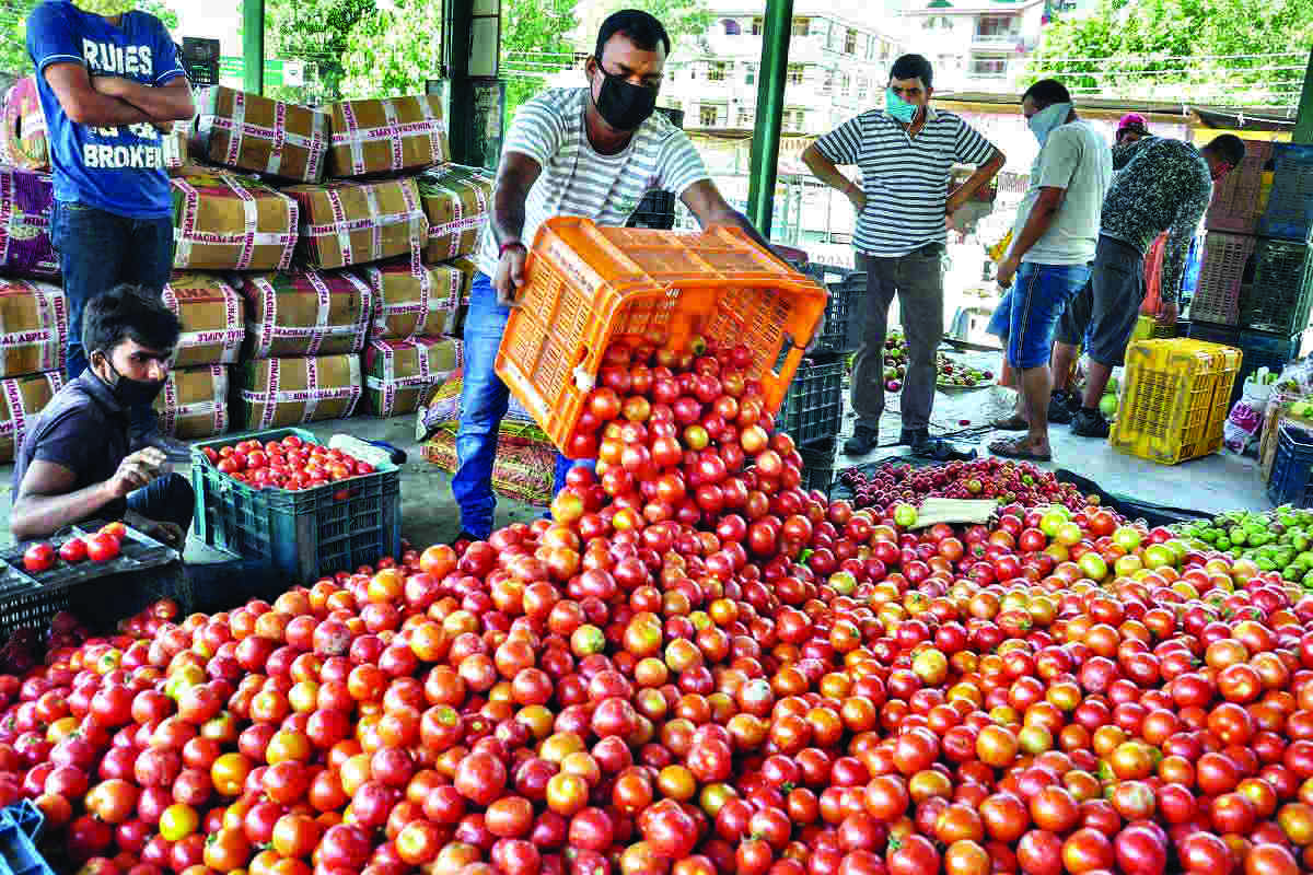 Tomatoes prices: Next major risk to govts fight against inflation