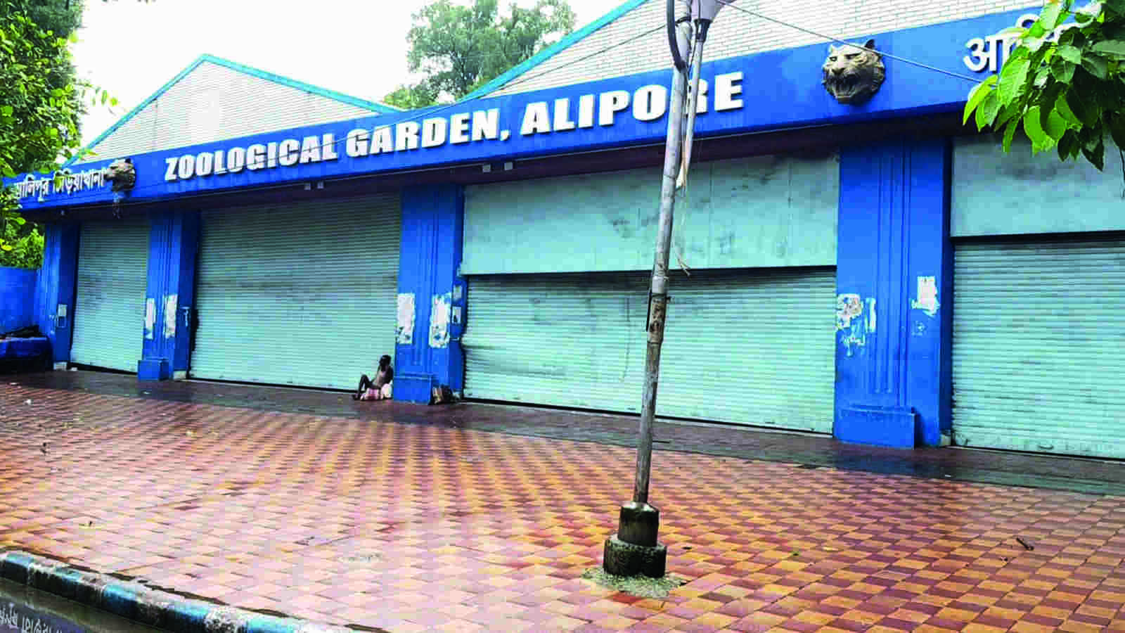 Alipore zoo: Over Rs 13 lakh raised through adoption during last fiscal Alipore zoo: Over Rs 13 lakh raised through adoption during last fiscal