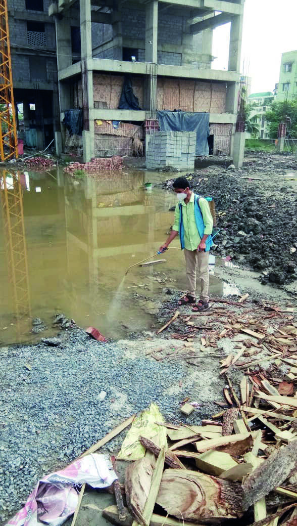Dengue: Districts asked to form monitoring teams Dengue: Districts asked to form monitoring teams