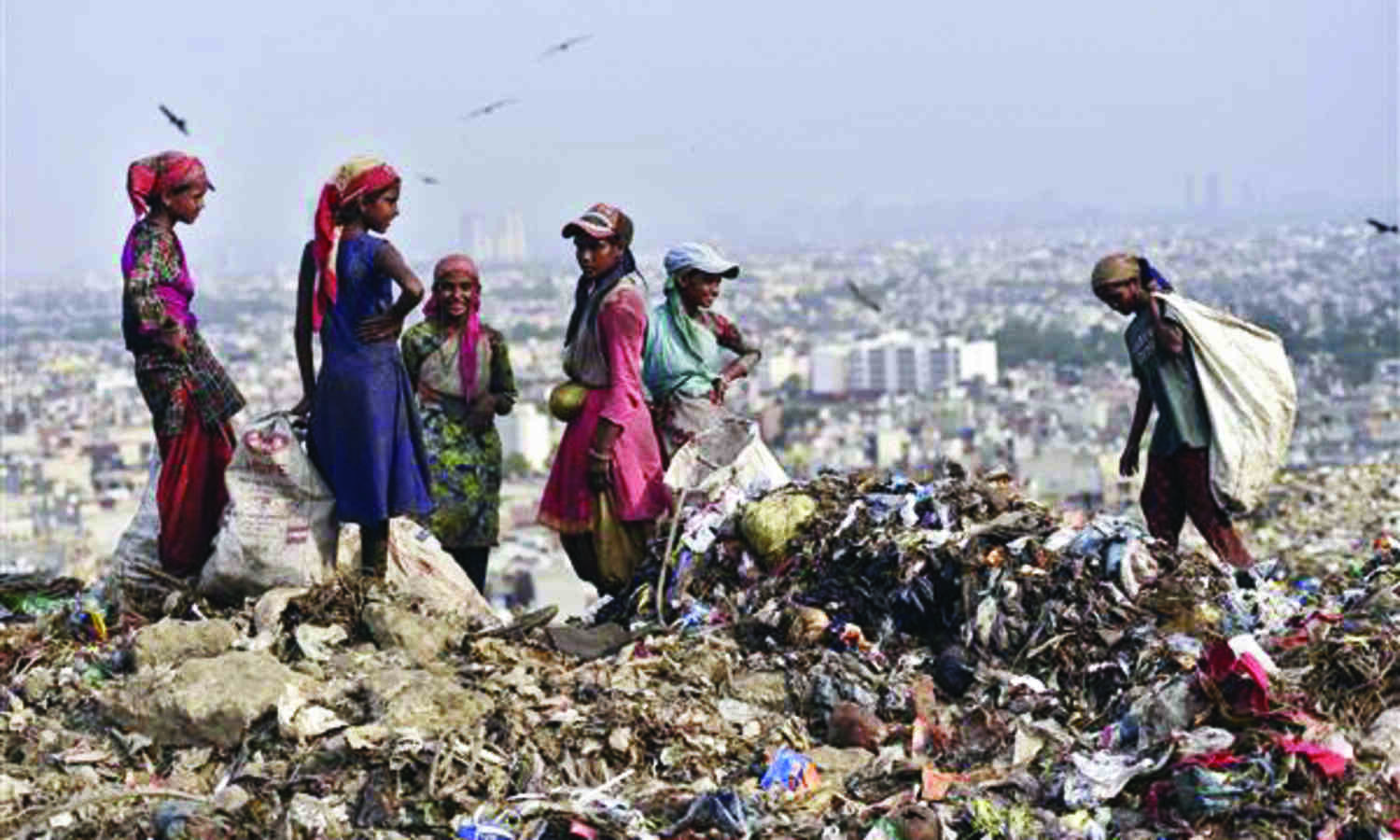 MCD lists steps to flatten & shut garbage dumping sites in its report