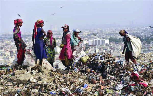 MCD lists steps to flatten & shut garbage dumping sites in its report