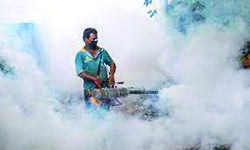 No salaries, unfulfilled promises: DBCs suffer as dengue cases rise
