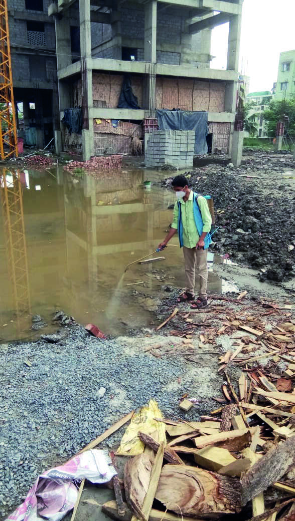 Civic bodies to increase workforce to combat dengue Civic bodies to increase workforce to combat dengue