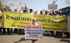 Stand in solidarity Stand in solidarity