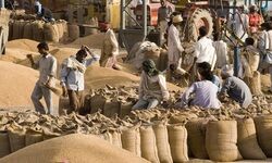 With export ban exceptions, Indias wheat export forecast to be 7 million tonnes in 2022/23: FAO