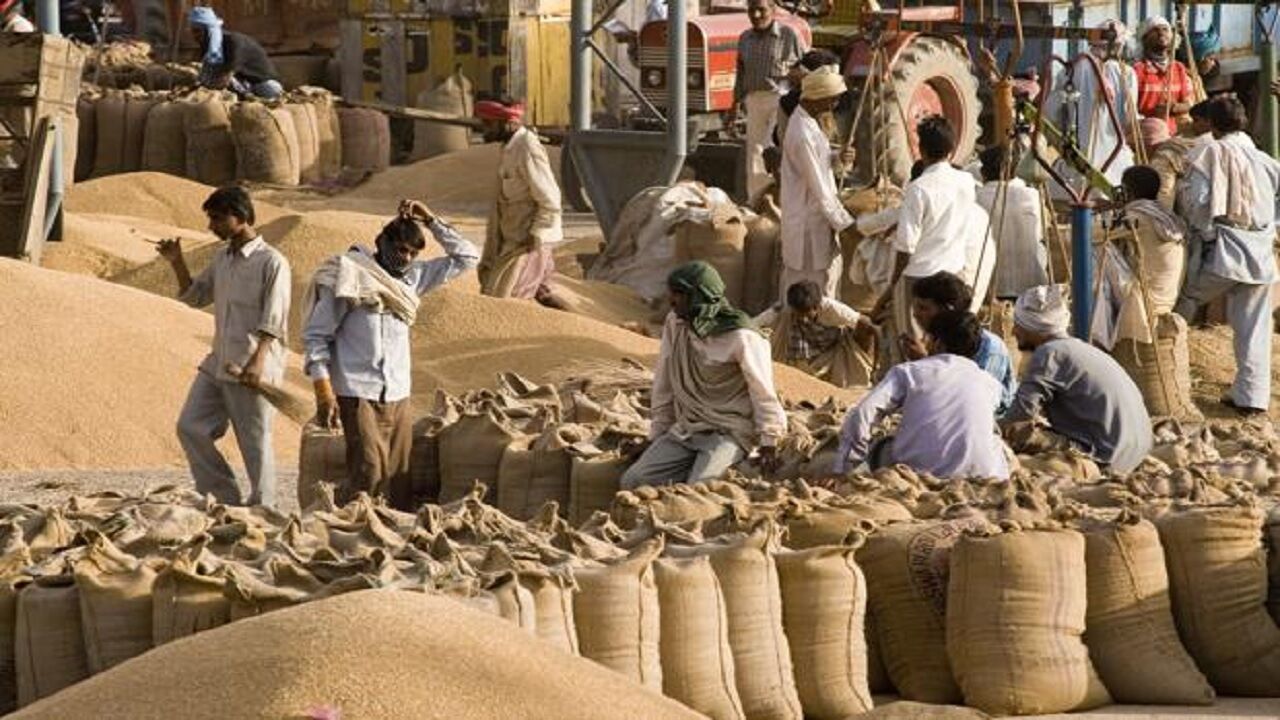 With export ban exceptions, Indias wheat export forecast to be 7 million tonnes in 2022/23: FAO