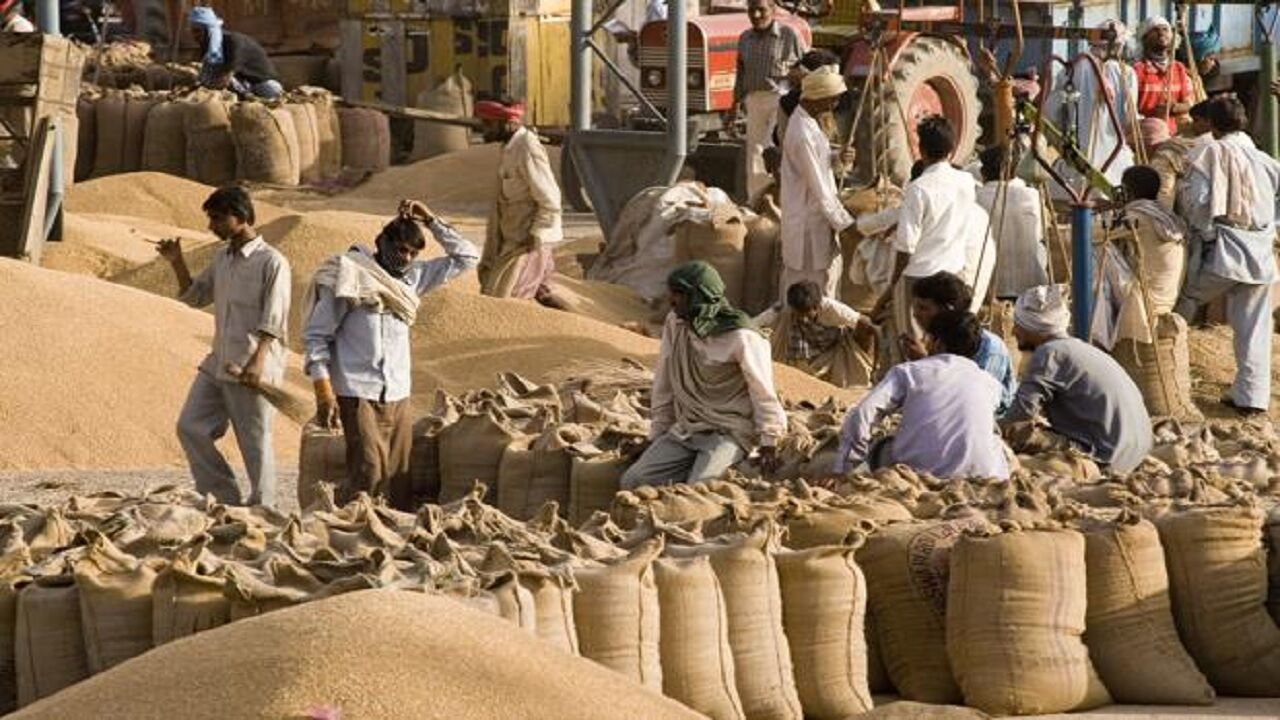With export ban exceptions, Indias wheat export forecast to be 7 million tonnes in 2022/23: FAO With export ban exceptions, Indias wheat export forecast to be 7 million tonnes in 2022/23: FAO