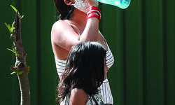 25 days of severe heat so far this summer, highest since 12: IMD 25 days of severe heat so far this summer, highest since 12: IMD