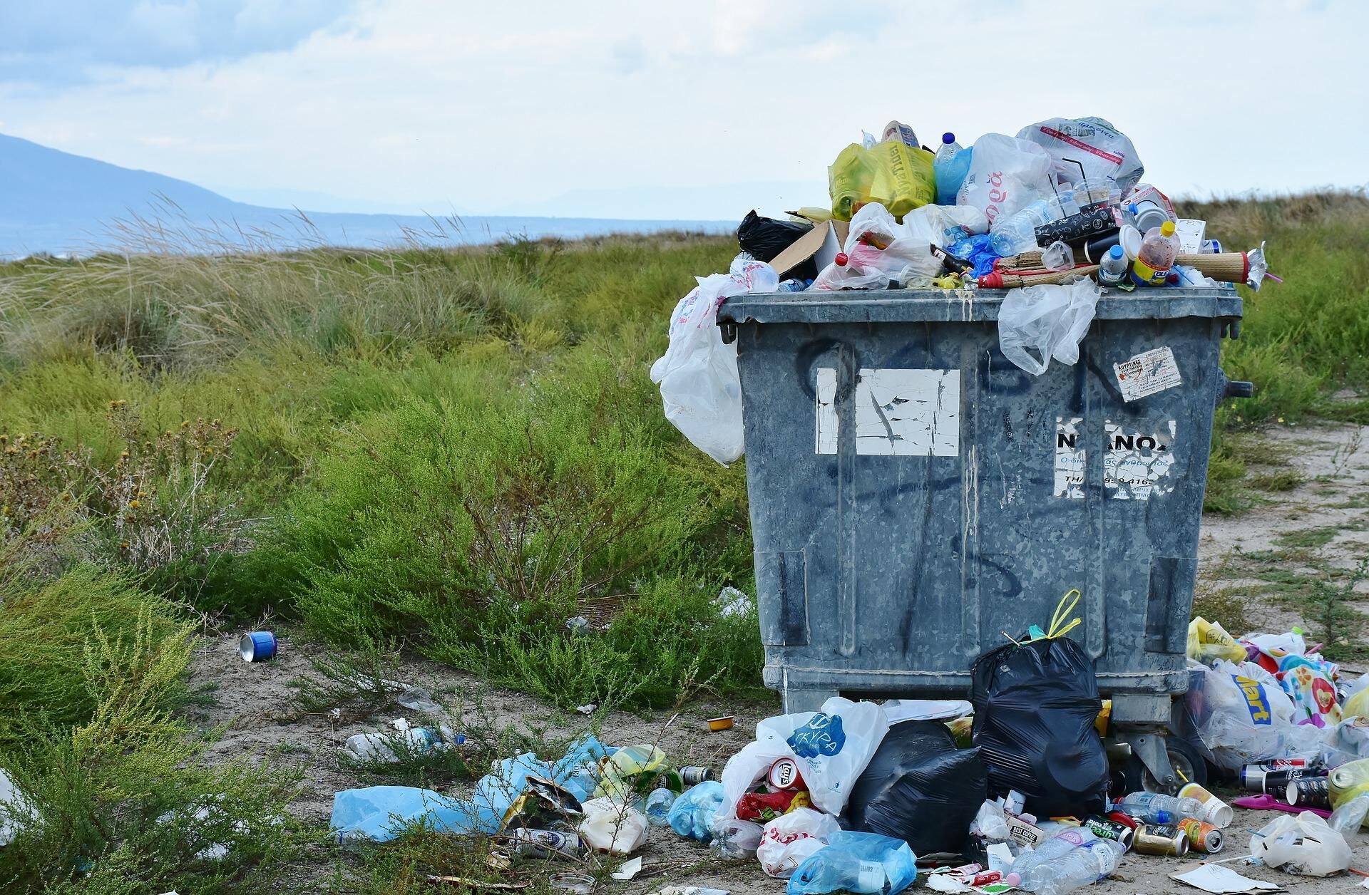 Ubiquitous contaminant Ubiquitous contaminant