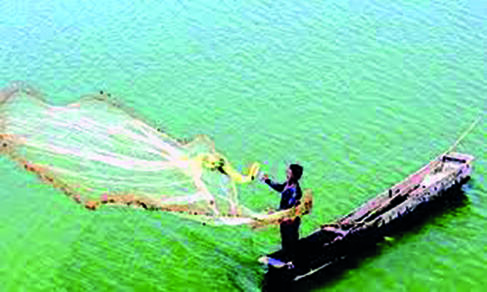 Hundreds of trawlers to hit sea to catch Hilsa as ban gets lifted after two months Hundreds of trawlers to hit sea to catch Hilsa as ban gets lifted after two months