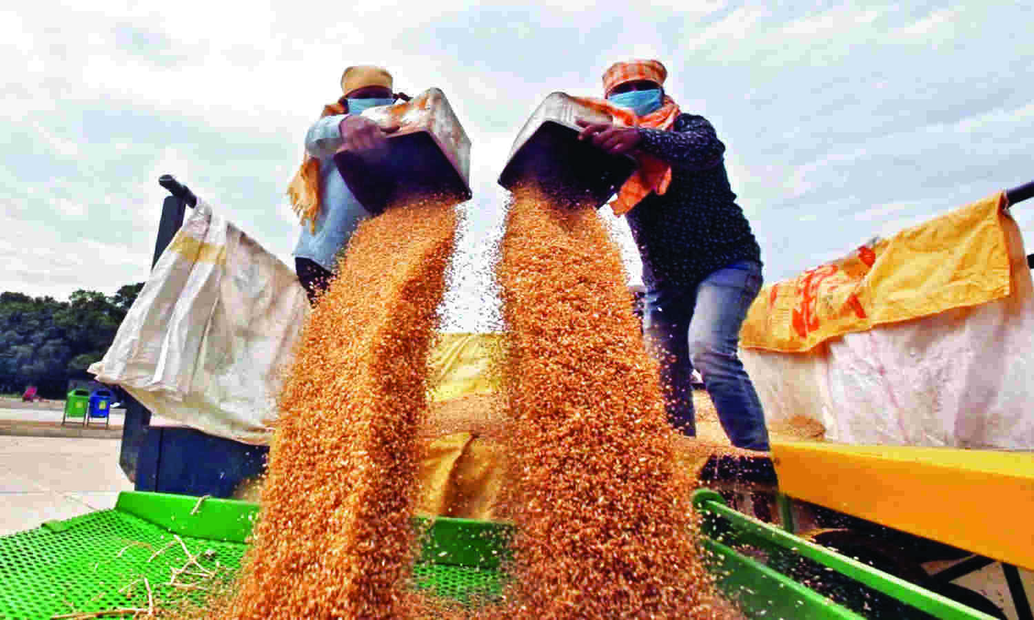 UAE suspends exports, re-exports of Indian wheat for four months