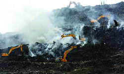 Ensure organic waste from slaughterhouse, fish markets do not reach landfill sites: DPCC to MCD