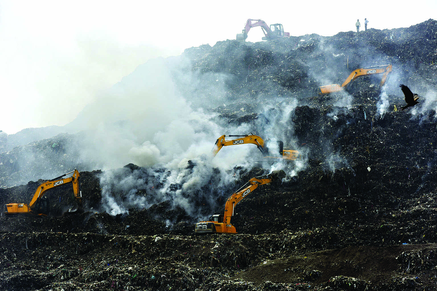 Ensure organic waste from slaughterhouse, fish markets do not reach landfill sites: DPCC to MCD