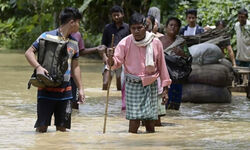 Avoidable destruction? Avoidable destruction?