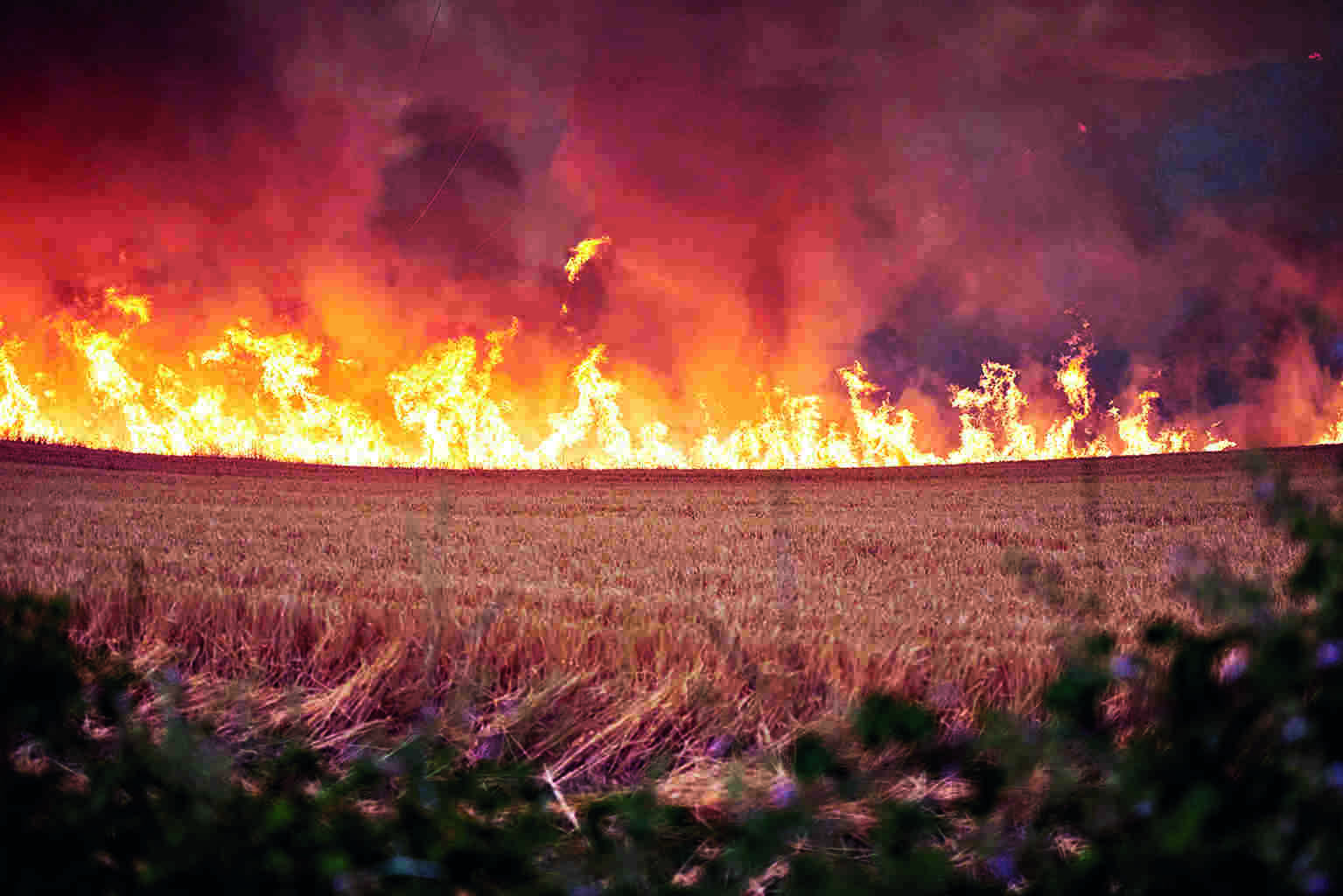 Spain, Germany battle wildfires Spain, Germany battle wildfires