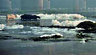 Delhi govt plans to identify pollution hotspots responsible for frothing in Yamuna river Delhi govt plans to identify pollution hotspots responsible for frothing in Yamuna river