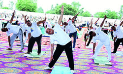 Hry CM urges youth to take pledge to shun drugs on Yoga Day Hry CM urges youth to take pledge to shun drugs on Yoga Day