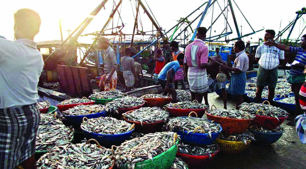 Will pitch for 25-yr exemption at WTO: Joint Secy in Fisheries dept Will pitch for 25-yr exemption at WTO: Joint Secy in Fisheries dept