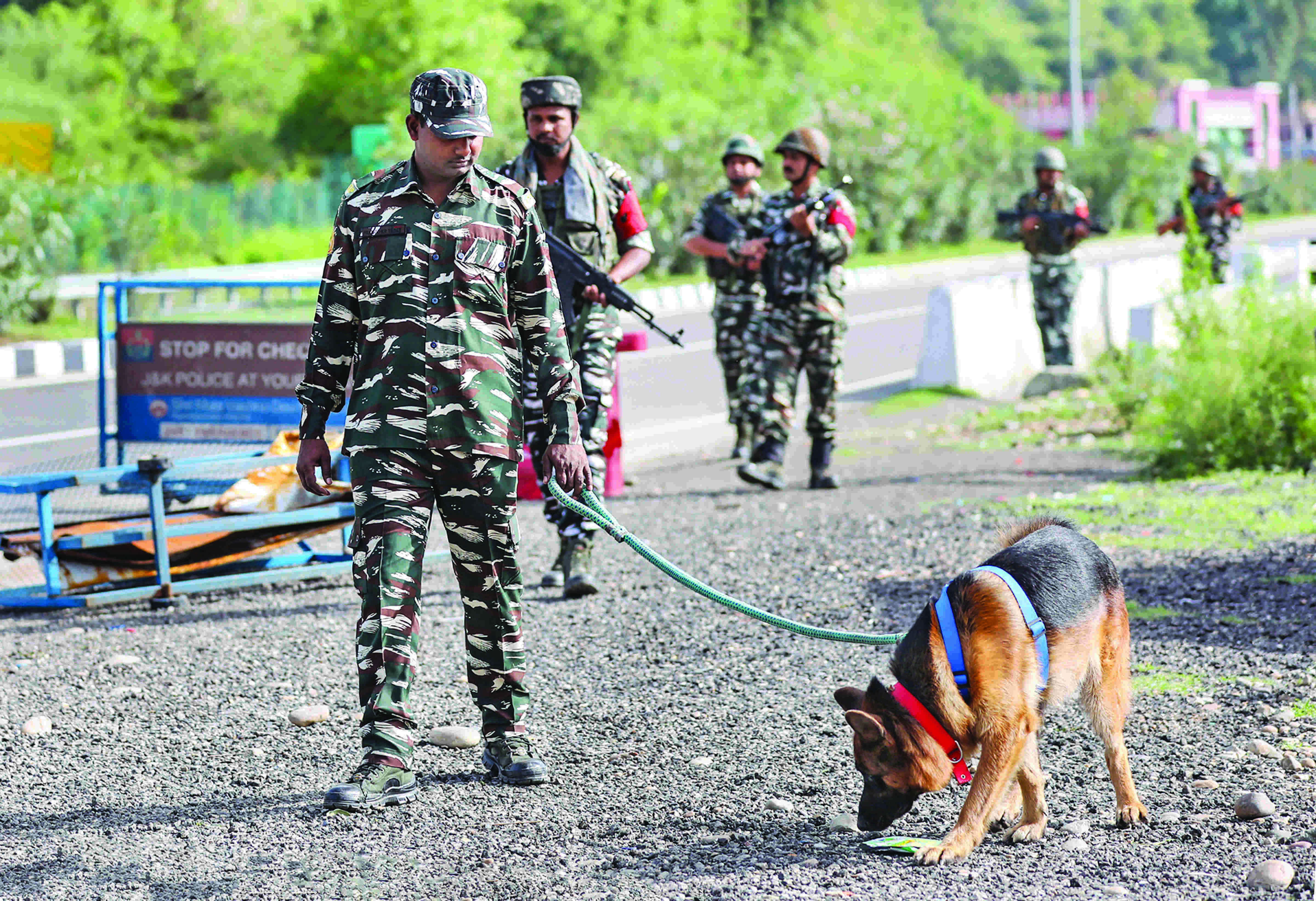Massive searches carried out along Intl Border ahead of Amarnath Yatra Massive searches carried out along Intl Border ahead of Amarnath Yatra