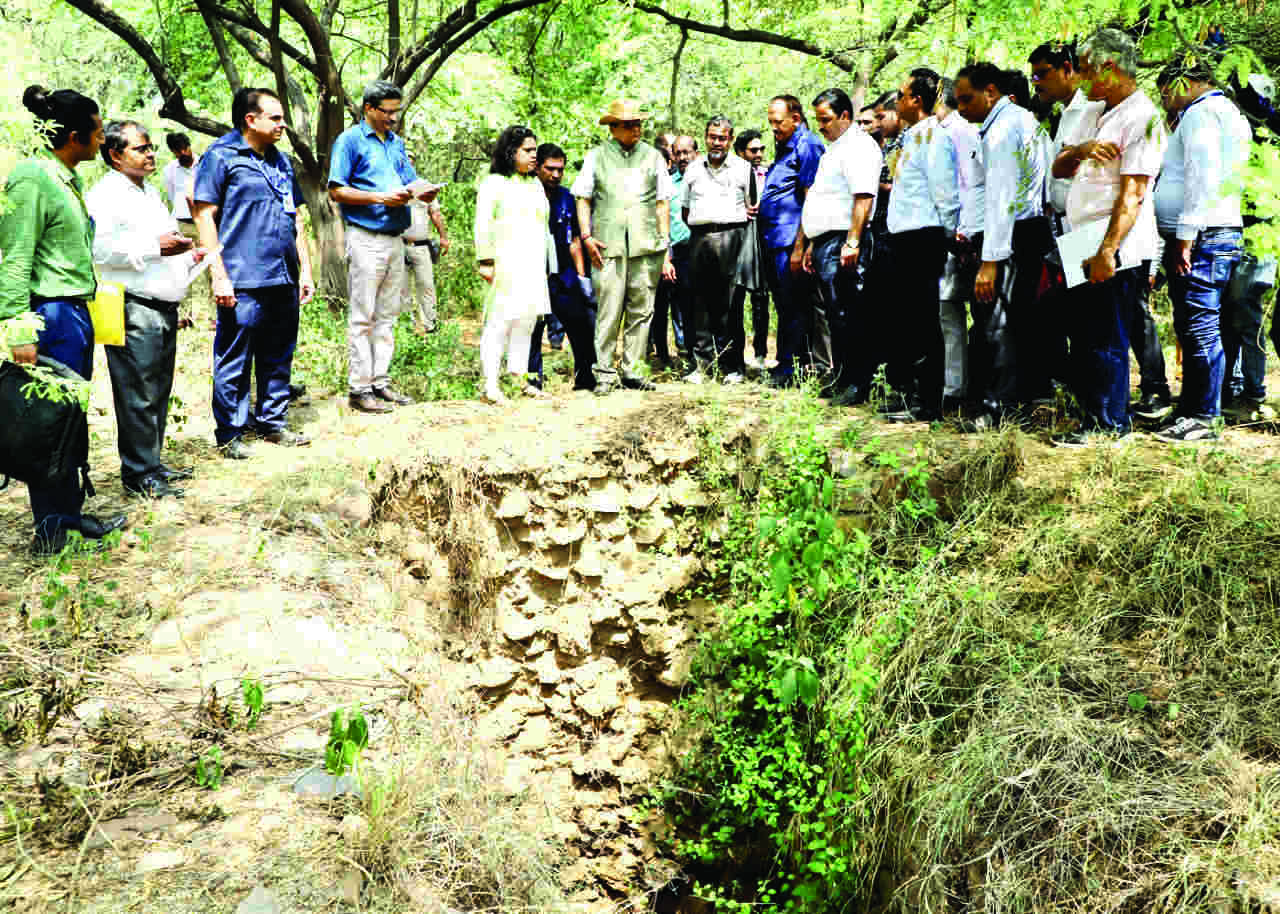L-G orders restoration of Anang Tal Baoli L-G orders restoration of Anang Tal Baoli