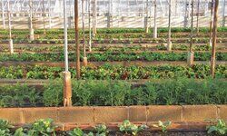 A multi-benefit alternative