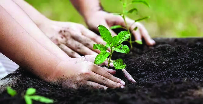 Select good quality land near project site for compensatory afforestation Select good quality land near project site for compensatory afforestation