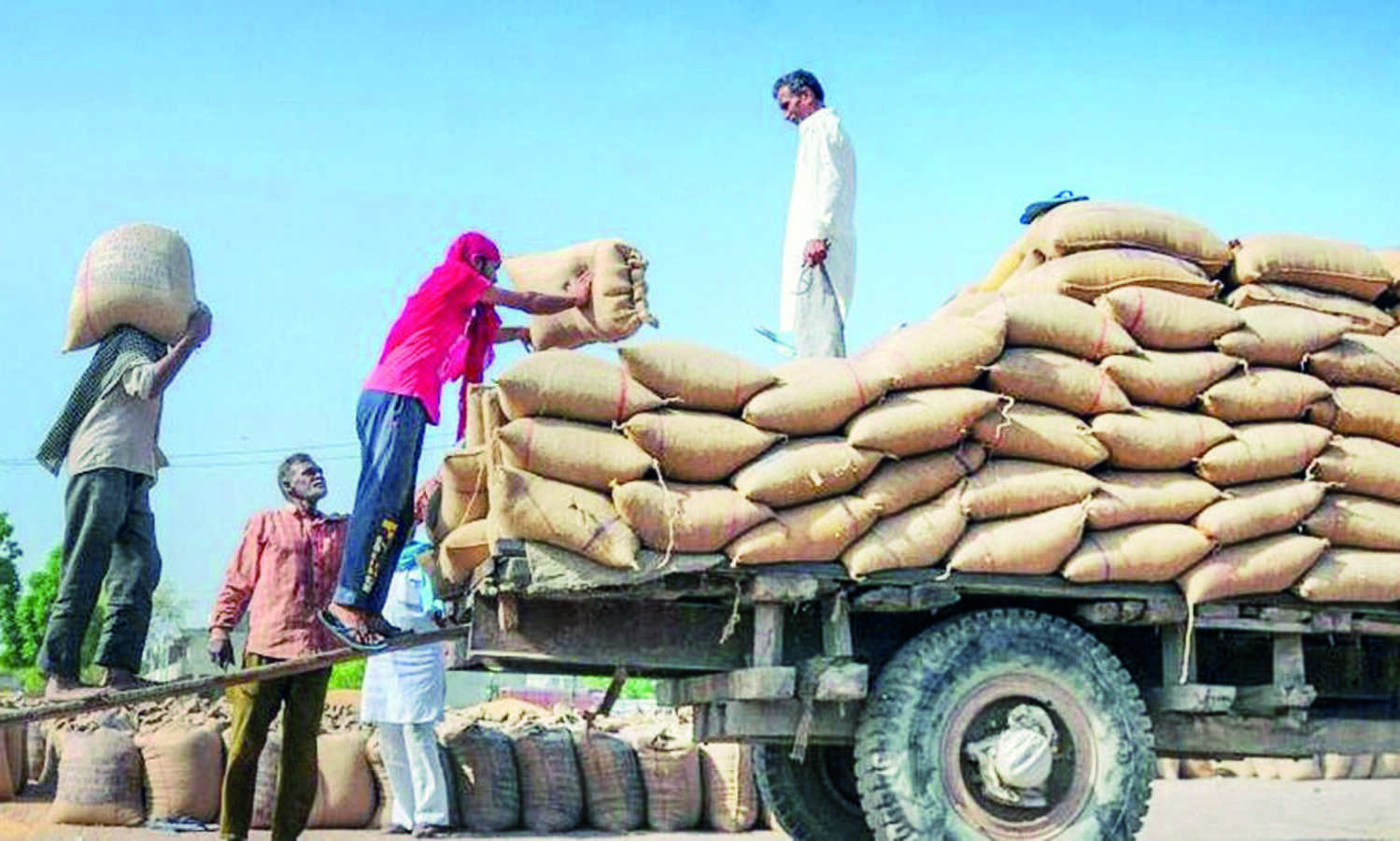 Set up MSP panel, publish white paper on current foodgrain crisis