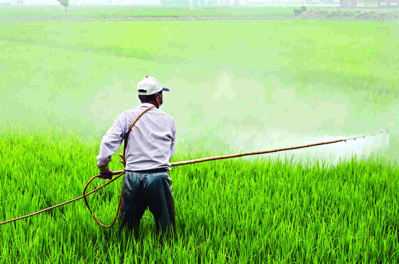 Urea diversion to industrial units causing subsidy loss of Rs 6,000 cr Urea diversion to industrial units causing subsidy loss of Rs 6,000 cr
