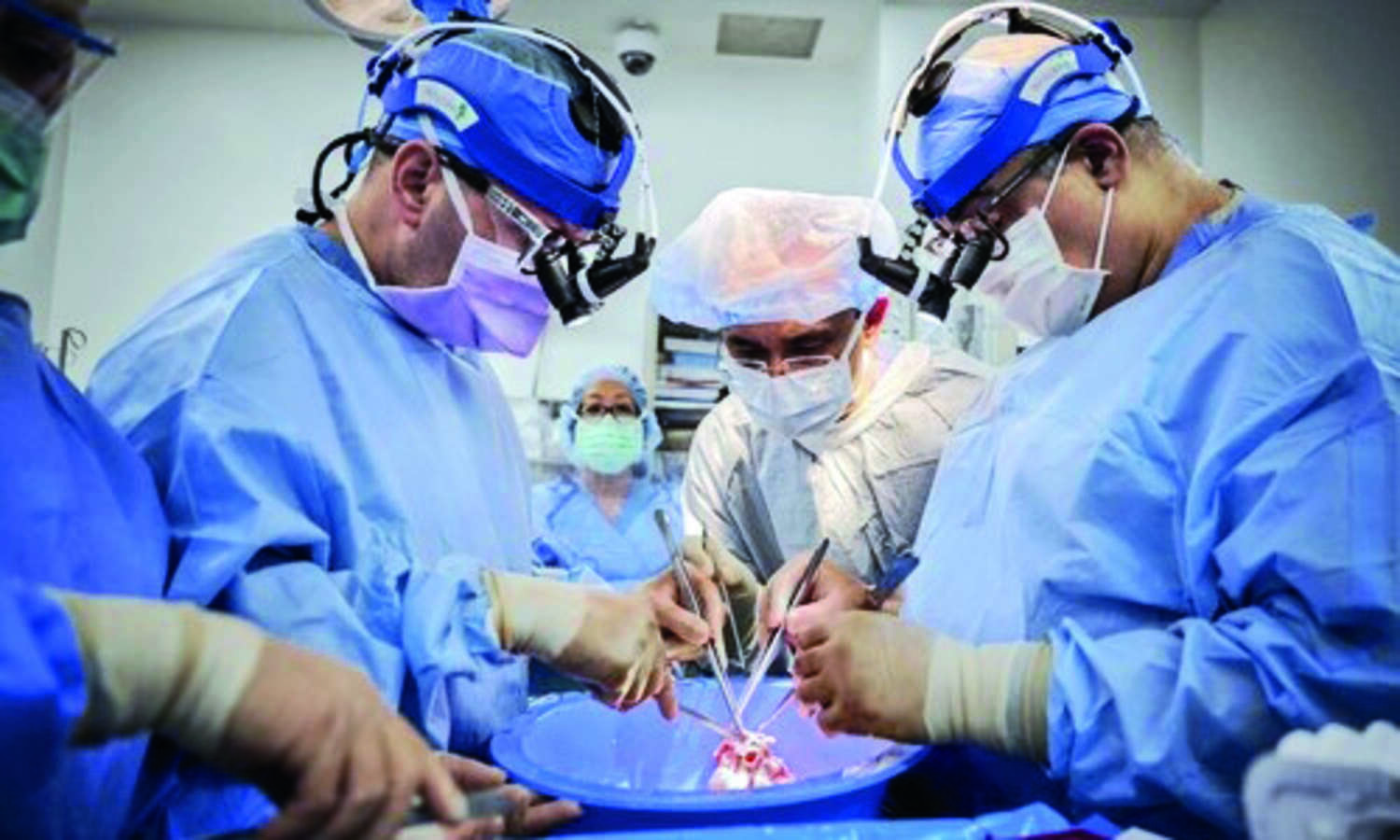 Pig heart transplants succeed in brain-dead recipients in US