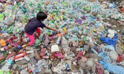 Say no to single-use plastic Say no to single-use plastic