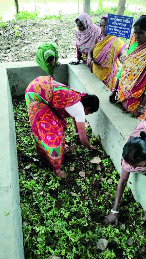 Agriculture push: Training to be held to teach new way of making vermicompost