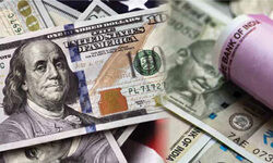 Ephemeral to sustainable Ephemeral to sustainable