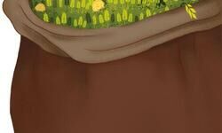 A win-win alternative A win-win alternative