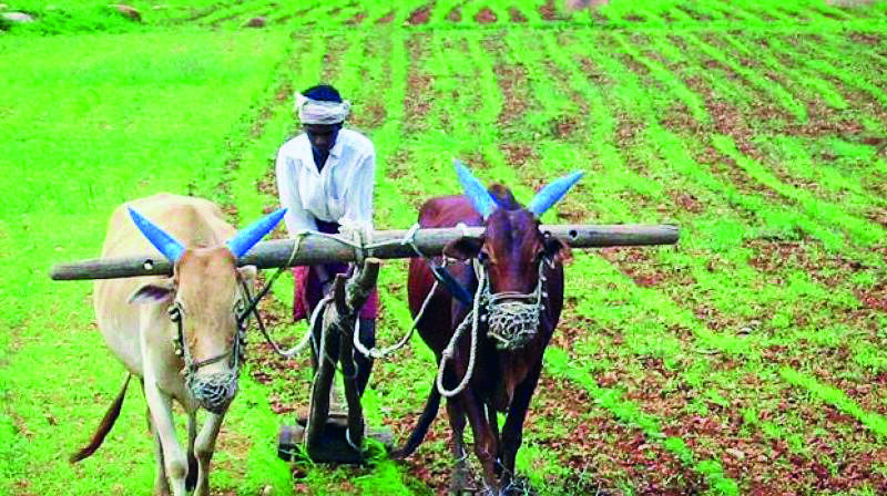 LS witnesses heated arguments over issue of farm loan waivers LS witnesses heated arguments over issue of farm loan waivers