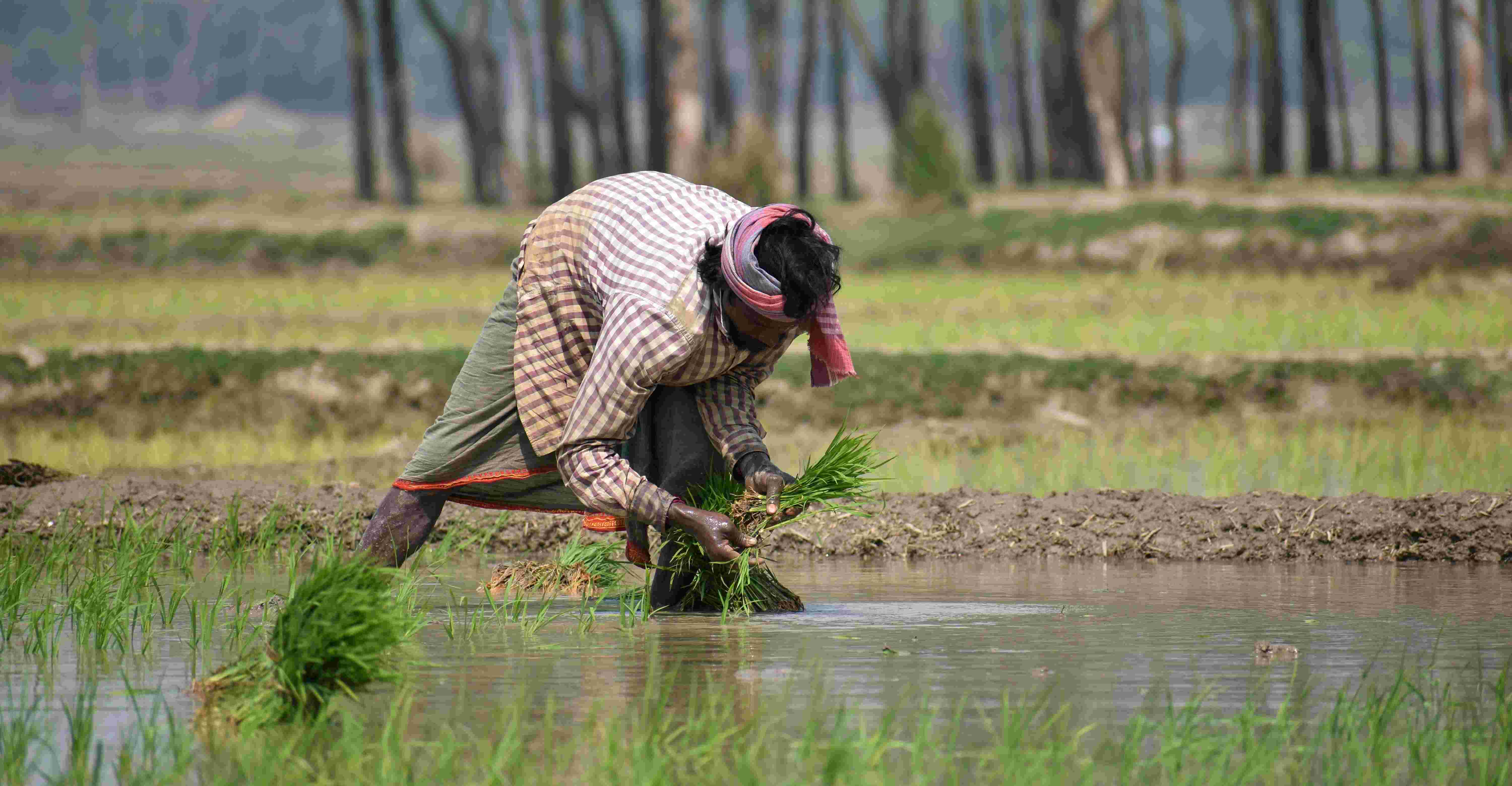 Pathway to sustainability