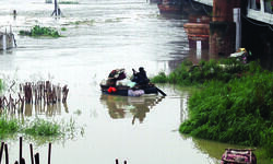 Around 9,000-hectare land available in Yamuna floodplains for plantation, says Delhi forest dept