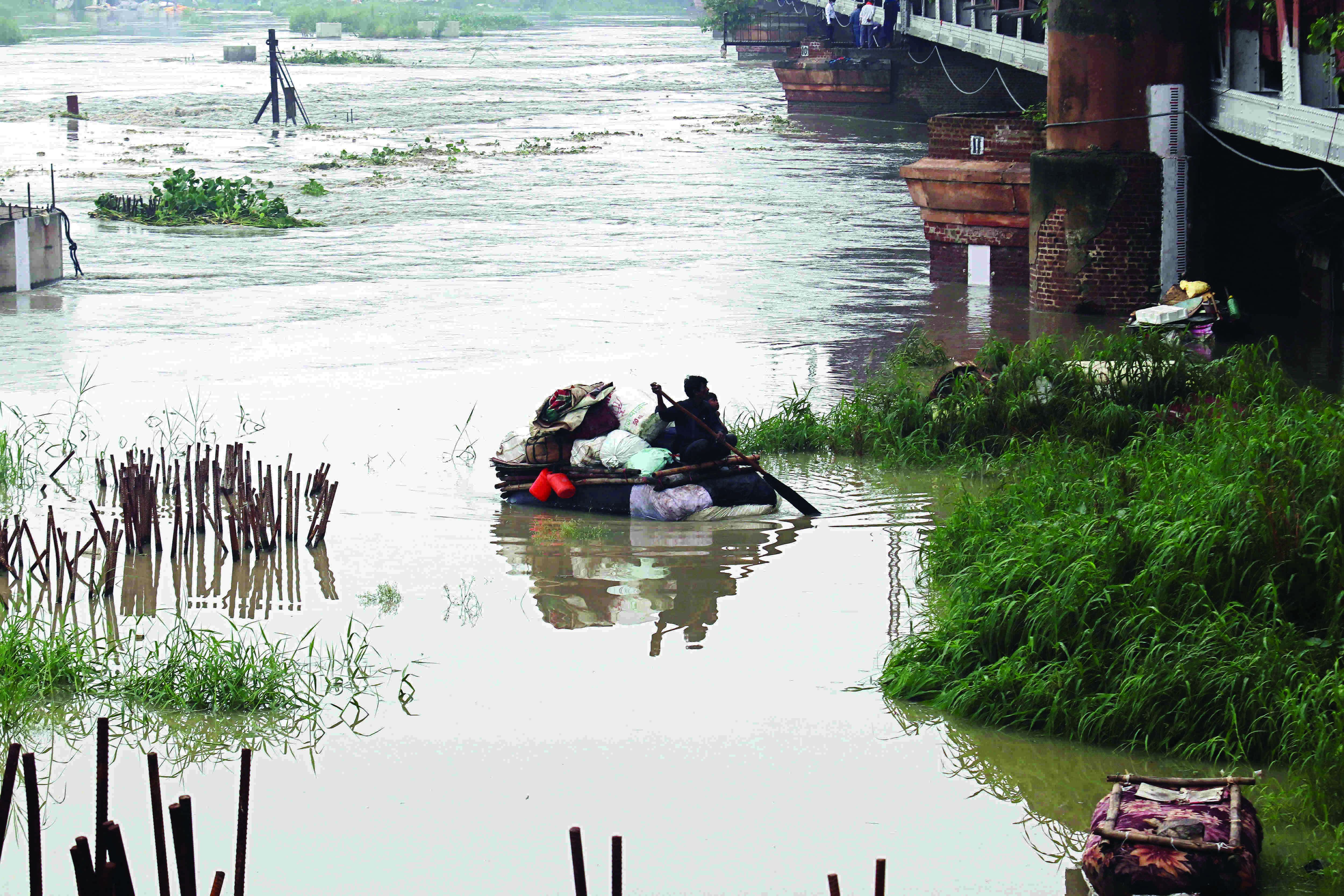 Around 9,000-hectare land available in Yamuna floodplains for plantation, says Delhi forest dept