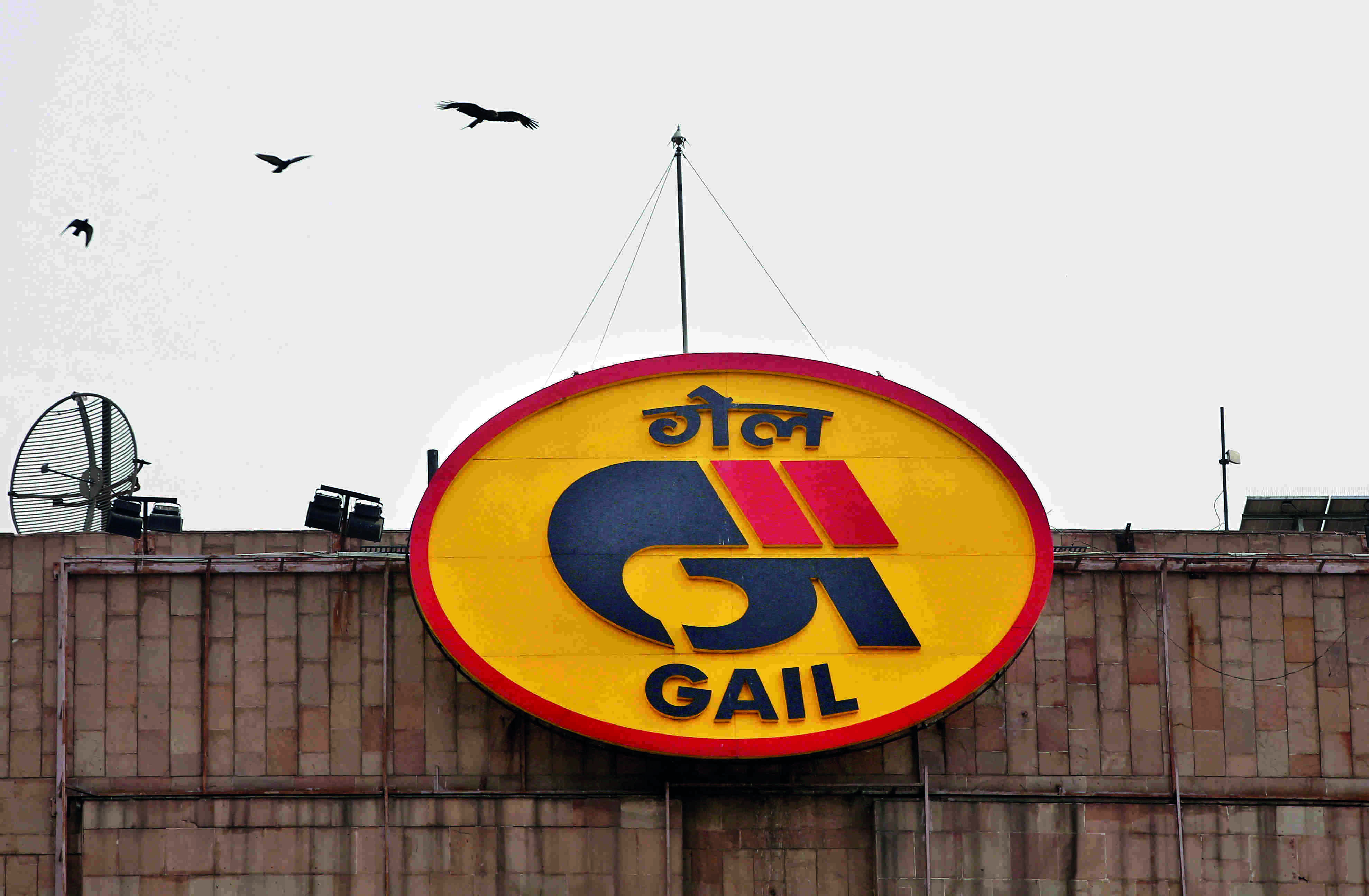 GAIL plans to double share capital; add specialty chemicals, clean energy to biz GAIL plans to double share capital; add specialty chemicals, clean energy to biz