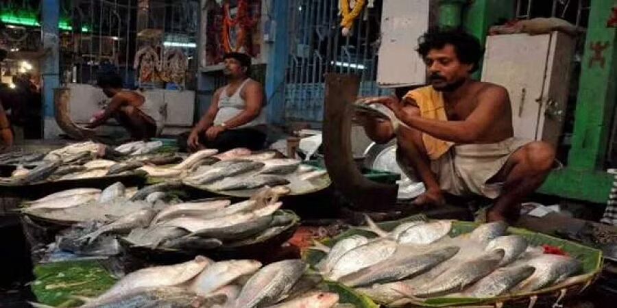 Kolkata to host India International Seafood Show 2023