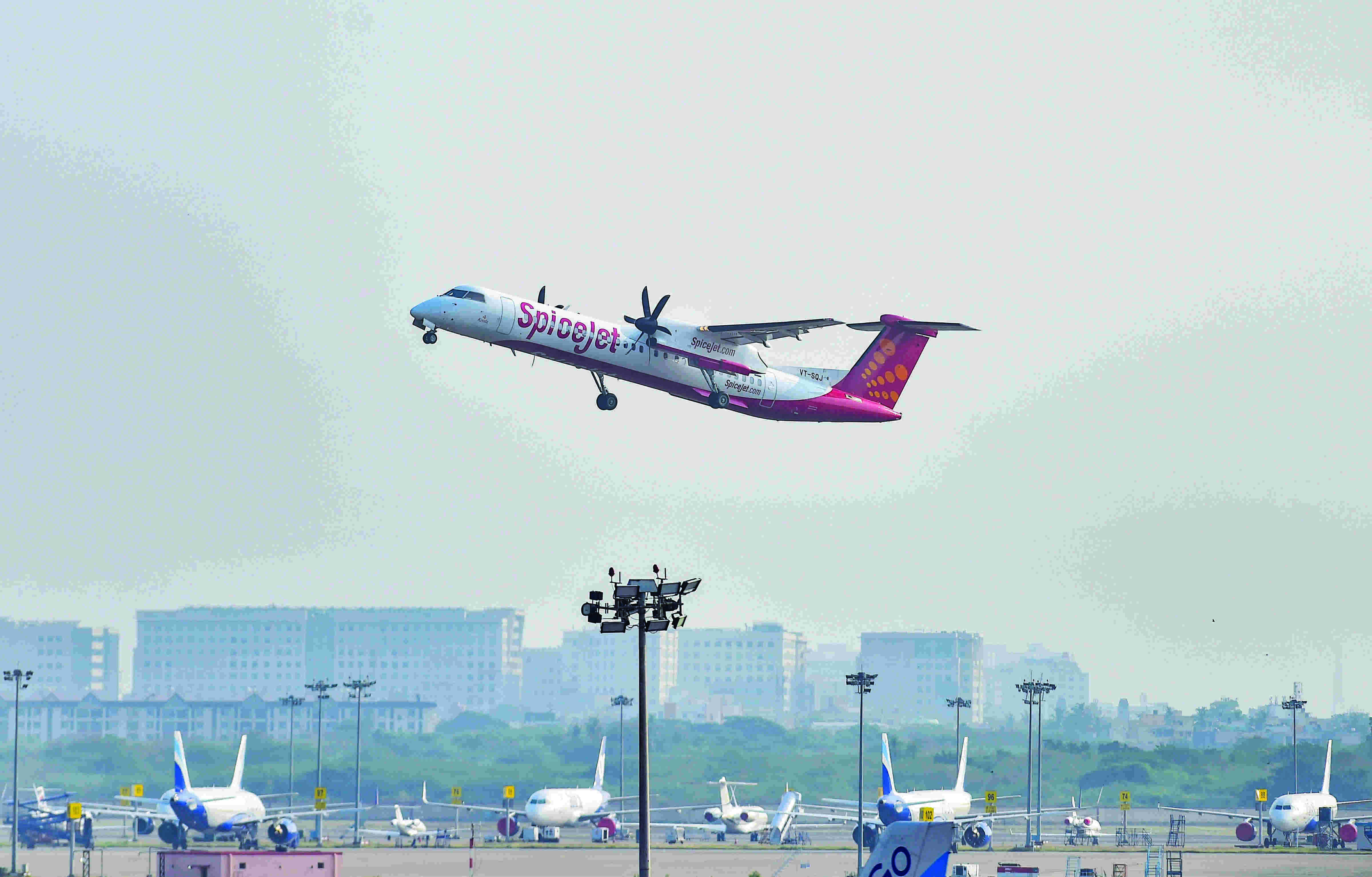 DGCA issues guidelines to prevent bird hits at airports DGCA issues guidelines to prevent bird hits at airports