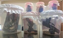 Terror module busted in Punjab ahead of Independence Day Terror module busted in Punjab ahead of Independence Day