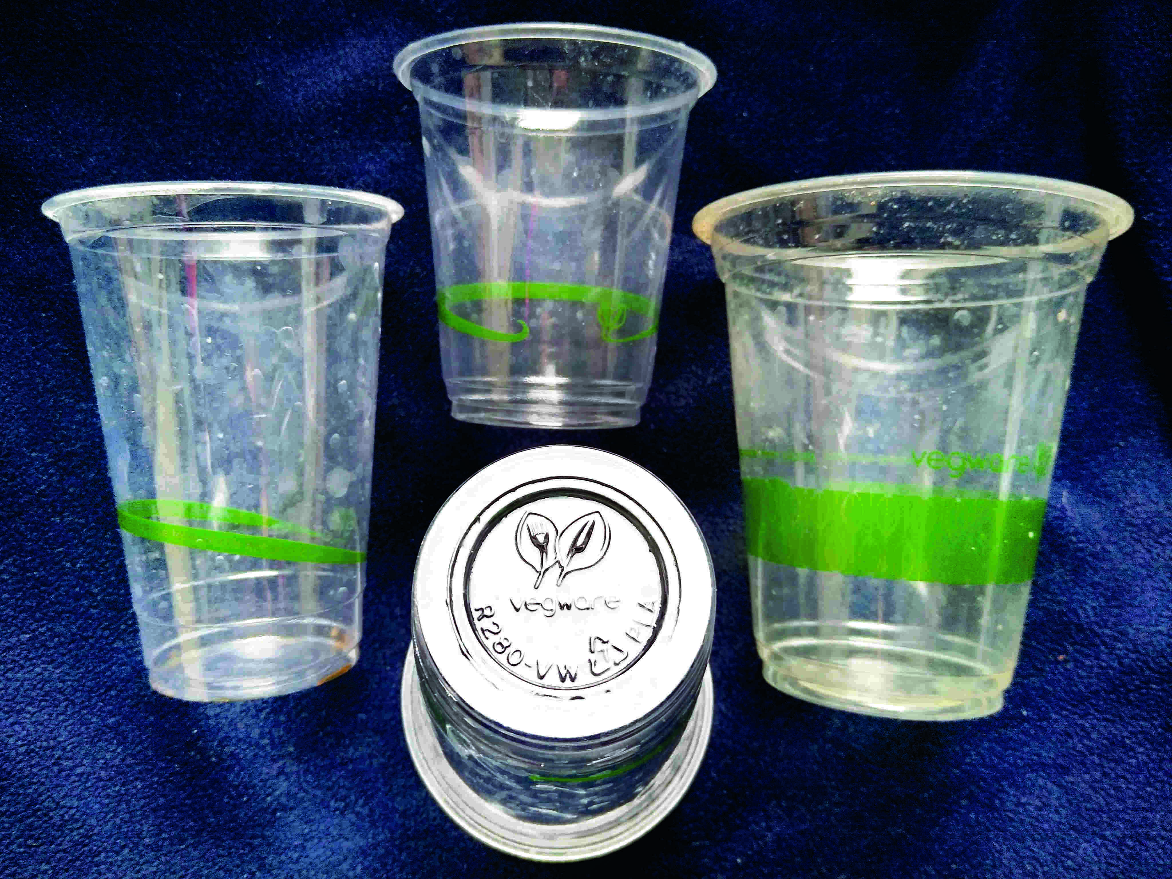 Govt approves startup loan to firm for commercialising compostable plastic Govt approves startup loan to firm for commercialising compostable plastic